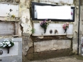 foto-operazioni-necroscopiche-del-18-01-2014-013